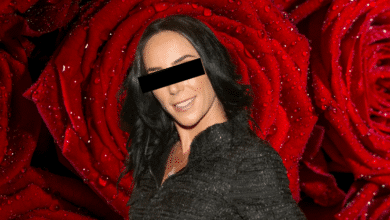 El misterio de Fundación FIGMA la organización altruista de Inés Gómez Mont que desapareció junto con la conductora