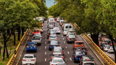 El programa Hoy No Circula opera con normalidad este lunes 27 de octubre de 2025 en la Zona Metropolitana del Valle de México (ZMVM), buscando mitigar la contaminación y el congestionamiento.