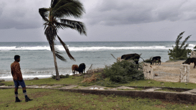 SRE activa atención consular para mexicanos ante impacto del huracán “Melissa” en el Caribe
