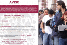 ¡Solo hoy! Abren registro para el Seguro de Desempleo en CDMX; así puedes solicitar $3,439 pesos (Foto Metro noticias)