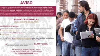 ¡Solo hoy! Abren registro para el Seguro de Desempleo en CDMX; así puedes solicitar $3,439 pesos (Foto Metro noticias)