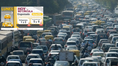 Hoy No Circula Autos con engomado amarillo y placas 5 o 6 descansan este lunes 10 de noviembre (Foto por RegeneraciónMX)