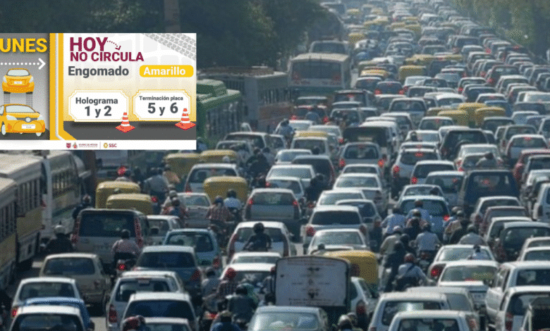 Hoy No Circula Autos con engomado amarillo y placas 5 o 6 descansan este lunes 10 de noviembre (Foto por RegeneraciónMX)