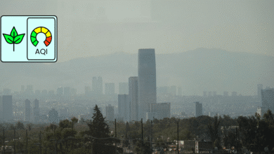 Valle de México respira Reportan buena calidad del aire este viernes no hay contingencia ambiental (Foto por Cuartoscuro)