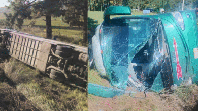 Volcadura de autobús en la Tianguistenco-Chalma deja 12 lesionados el chofer se dio a la fuga (Foto de Redes Sociales)