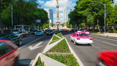 El programa de la Comisión Ambiental de la Megalópolis (CAMe) establece las restricciones vehiculares para este jueves en la Zona Metropolitana del Valle de México y entidades aledañas, con el objetivo de reducir la contaminación atmosférica.