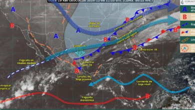 Este día, el frente frío núm. 19 se desplazará sobre el litoral del golfo de México y ocasionará lluvias puntuales intensas en zonas de Puebla (regiones Sierra Norte y Sierra Nororiental), Veracruz (regiones Huasteca Baja, Totonaca, Nautla y Olmeca), Oaxaca (norte y este), Chiapas (norte y este) y Tabasco (oeste, sur y este); lluvias fuertes a muy fuertes en el oriente y sureste del país, incluida en la península de Yucatán; y chubascos en el noreste y centro del territorio nacional.