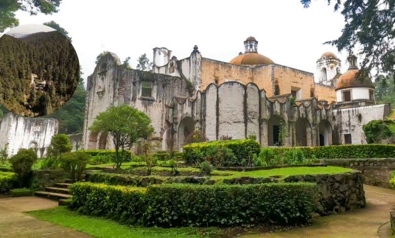 El laberinto de fe El Ex Convento del Desierto de los Leones, el tesoro histórico de Cuajimalpa (Foto por Karen Delgado)