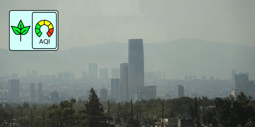 Valle de México respira Reportan buena calidad del aire este viernes no hay contingencia ambiental (Foto por Cuartoscuro)