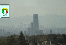 Valle de México respira Reportan buena calidad del aire este viernes no hay contingencia ambiental (Foto por Cuartoscuro)